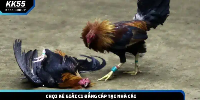 Chọi kê giải C1 đẳng cấp tại nhà cái